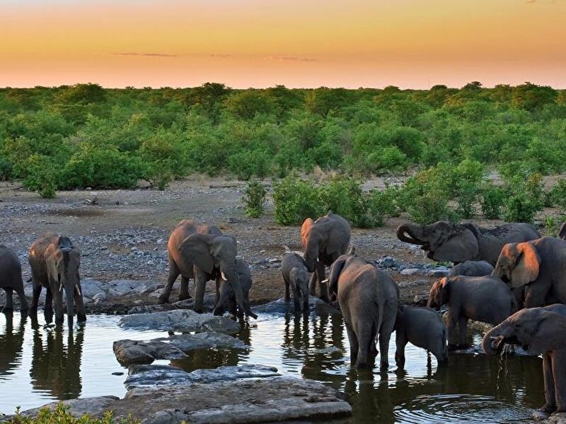 Büyük Afrika 4 Ülke Turu Türk Havayolları İle 11 Gece 12 Gün EJ001 